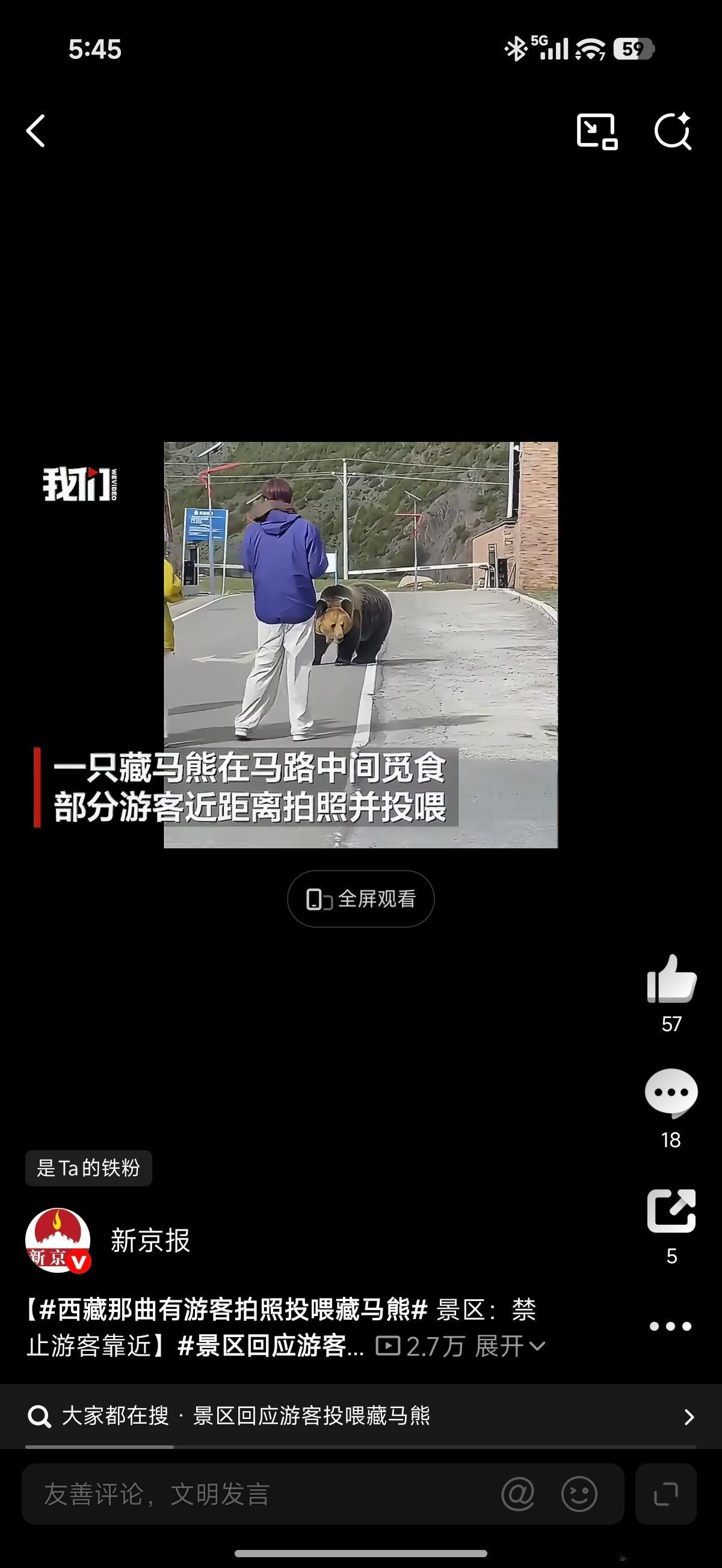 西藏那曲有游客拍照投喂藏马熊这距离，是打算喂自己？对熊一点畏惧都没有？更何况还是