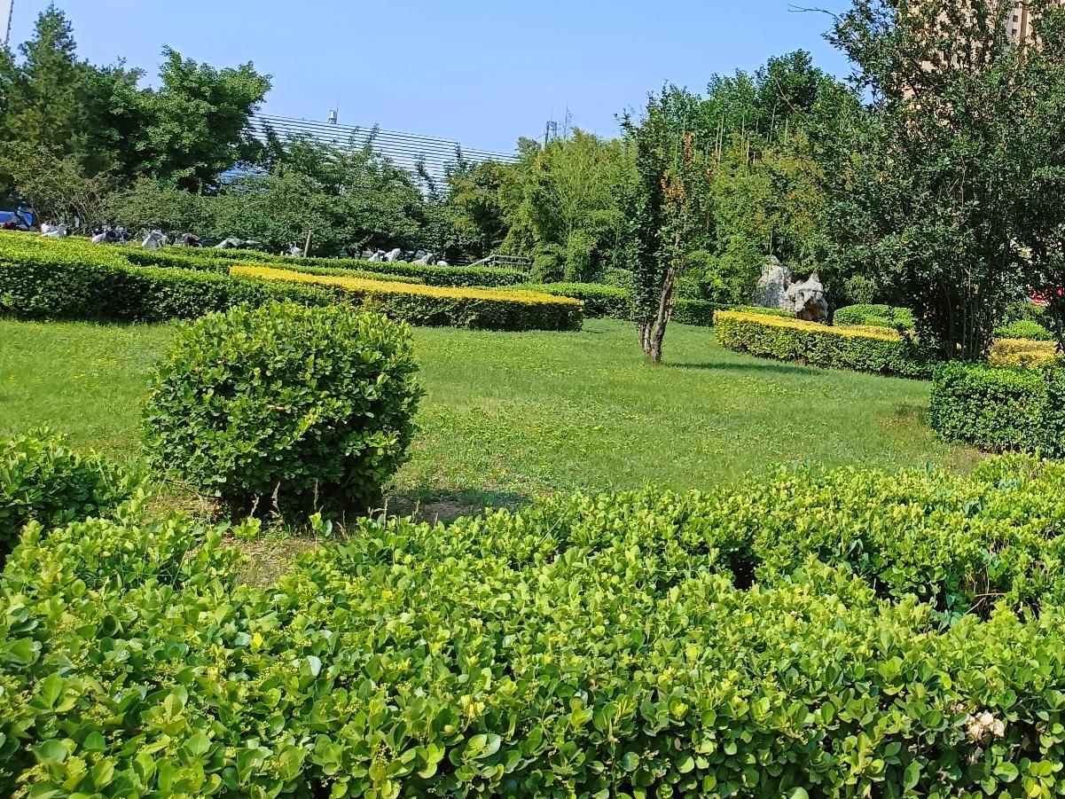 纵使岁岁往复，在花开凋零的轮回里不断奔赴，历经无数次重复的坚持，心底始终笃定，幽