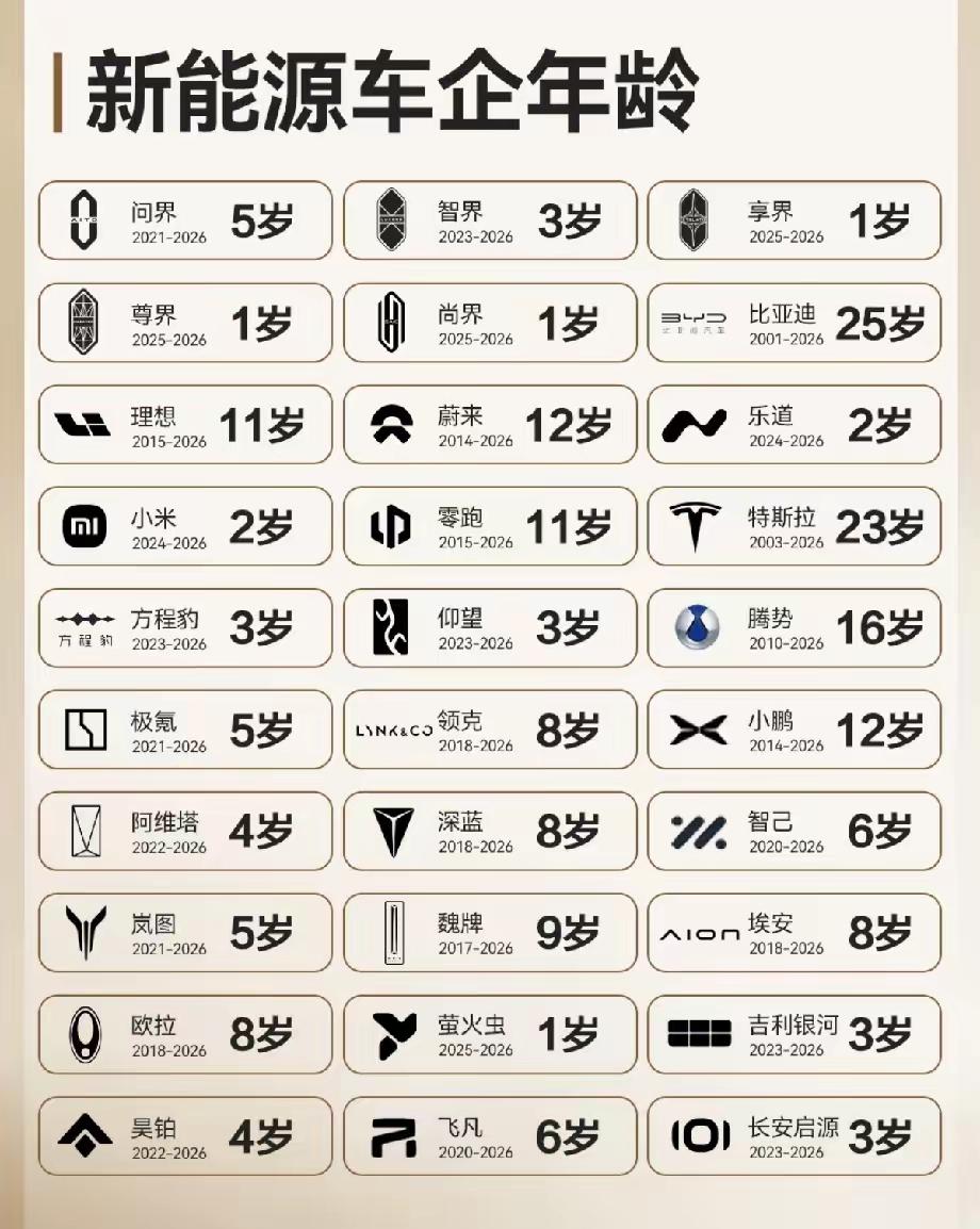 横向比较新能源车的年龄
就能发现比亚迪特斯拉为什么牛
但很多后起之秀也很可能成为