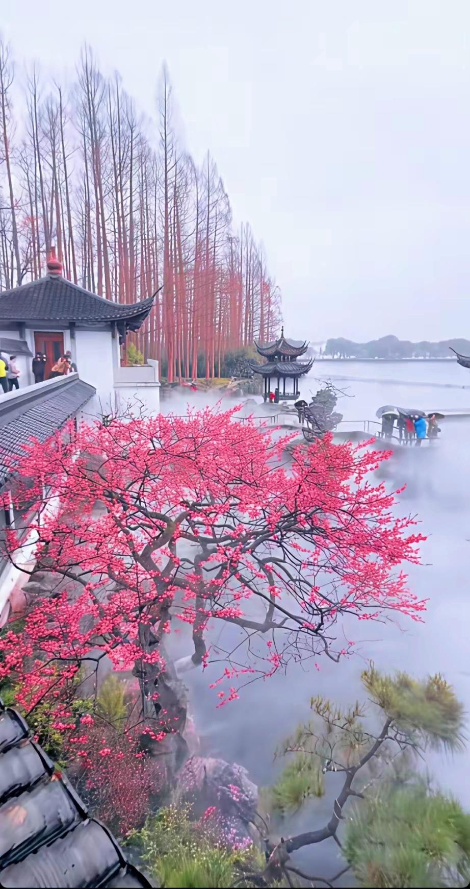 幸福的夫妻：彼此理解

人到中年，夫妻关系和谐，生活便会充满幸福。
所谓和谐，并