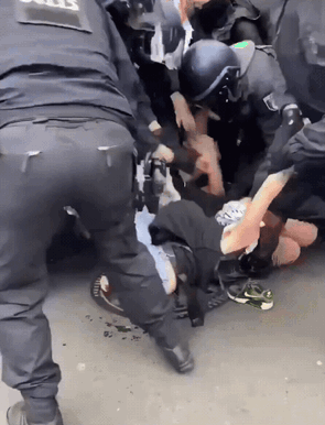 德国警察的战斗力还是很强的，大家可千万不要小看了！
德国女人举行支持巴勒斯坦游行