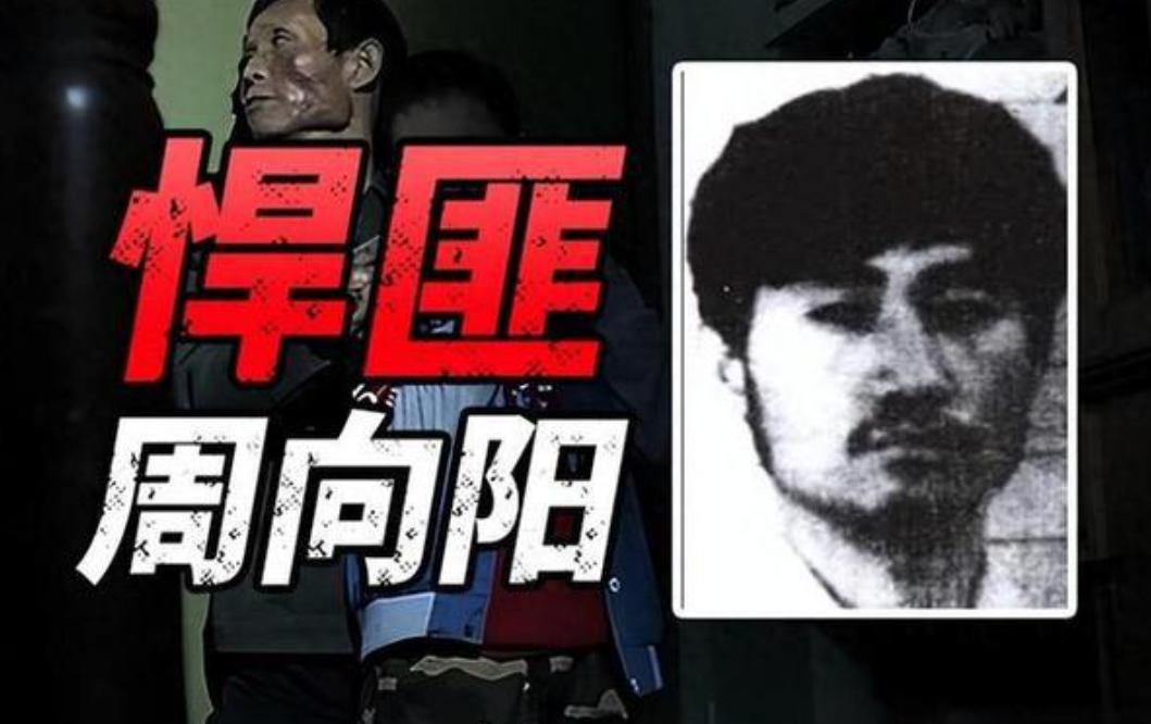 枪口对准孩子，法庭判了缓刑，他怎么又拿起了枪。
周向阳团伙作案67起，22人死，