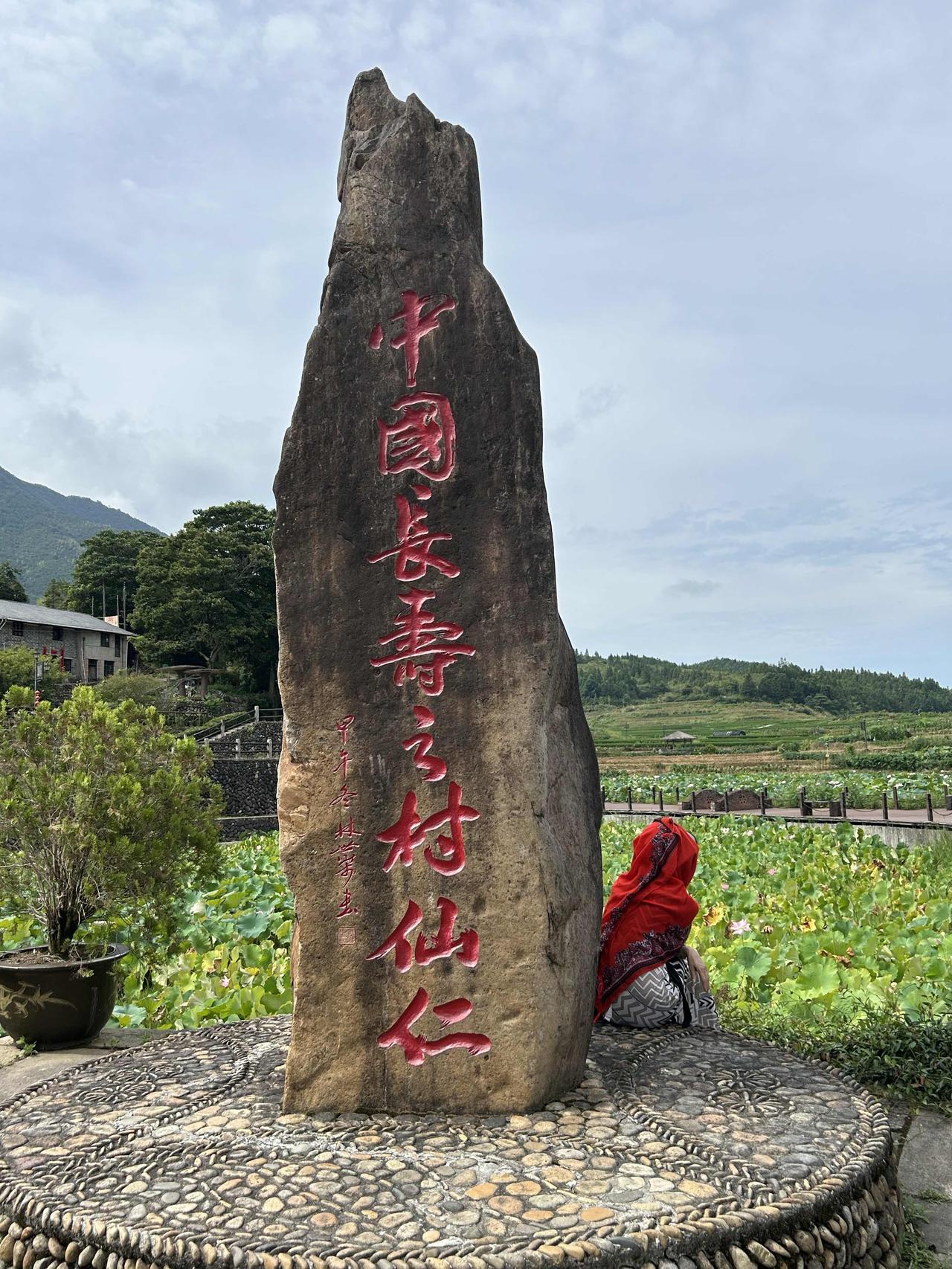 夏日生活打卡季