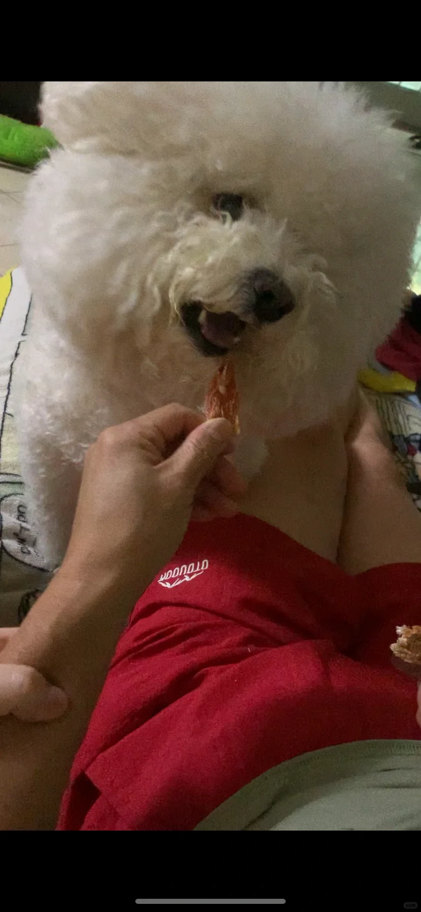 主打一个松弛感😳