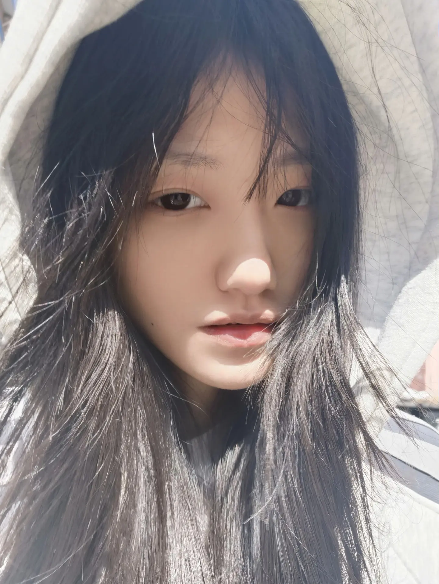巨蟹