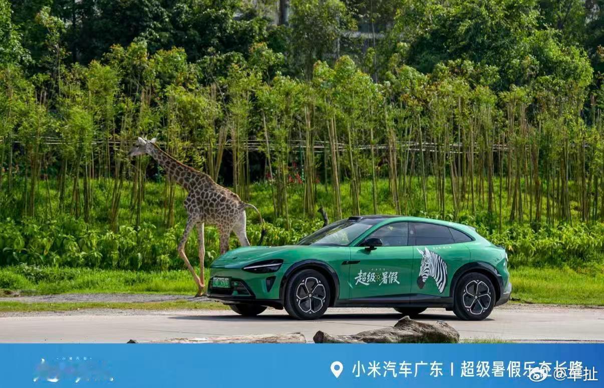 8月，属于小米汽车车友们的快乐暑假仍在继续✨奔赴动物园奇遇记，近距离邂逅国宝熊猫