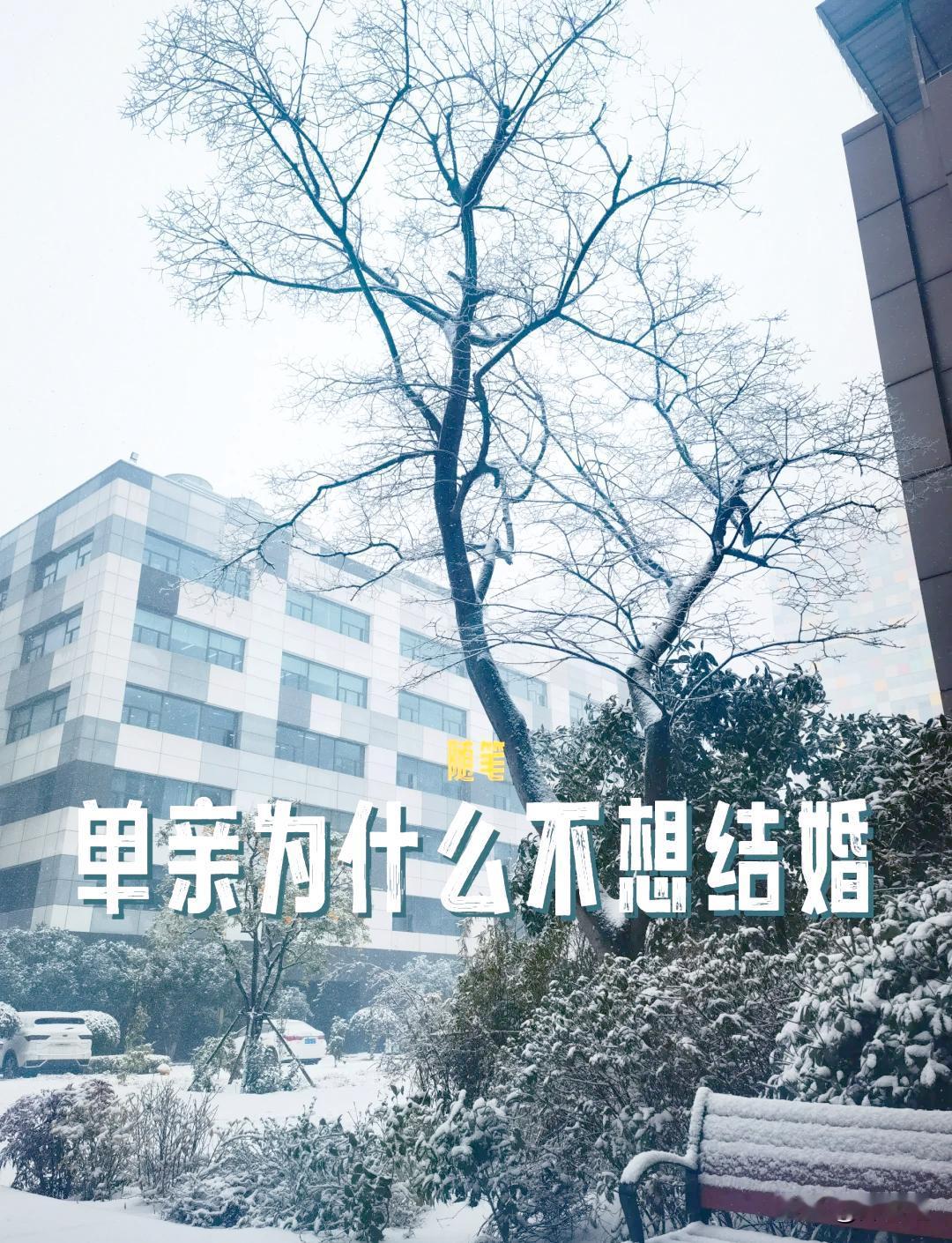 有一种心酸叫婚内单亲，丈夫身在婚姻里，日子却只剩女人独自硬扛
 
 今天想和大伙