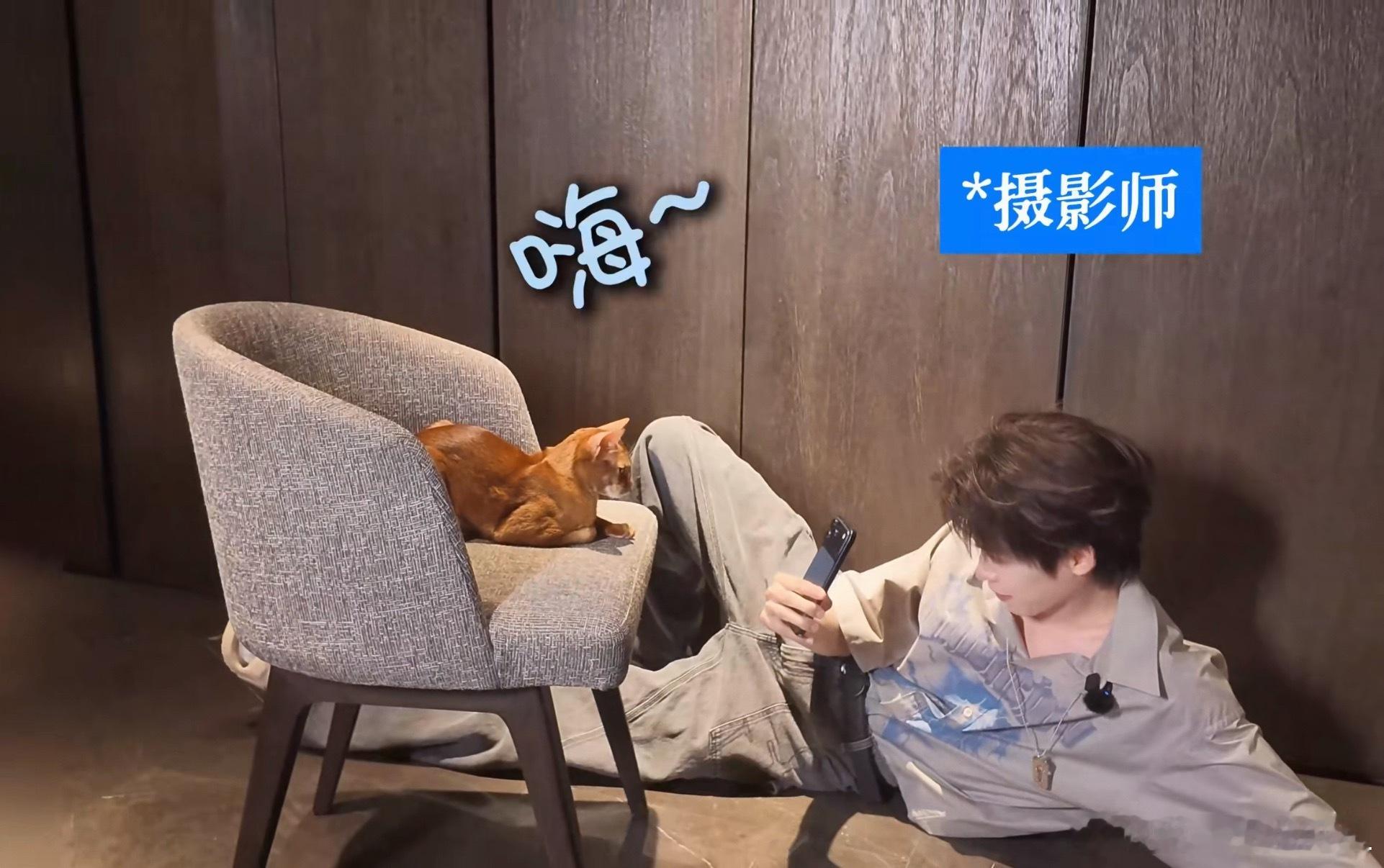 妈咪你好妖娆啊 