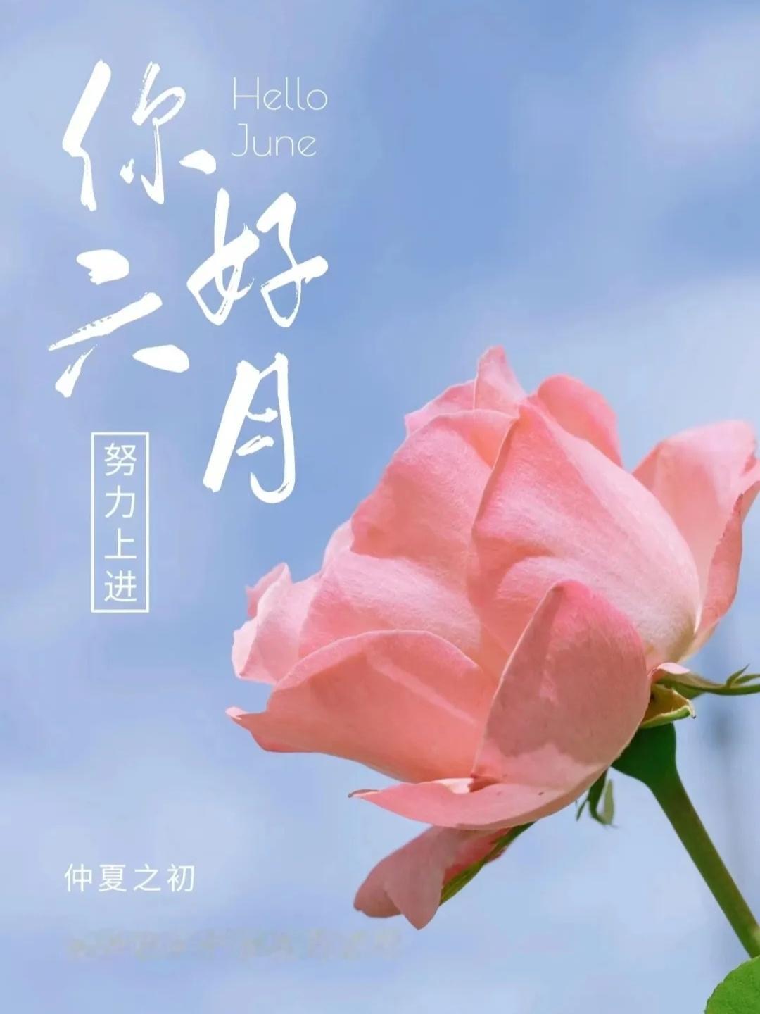 和五月挥手道别，携期许迎接崭新六月。五月再见，六月你好，愿你三餐有清欢，四季有诗