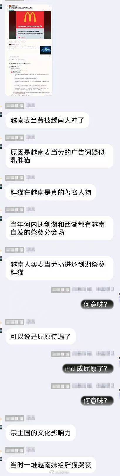 越南和胖猫的故事 
