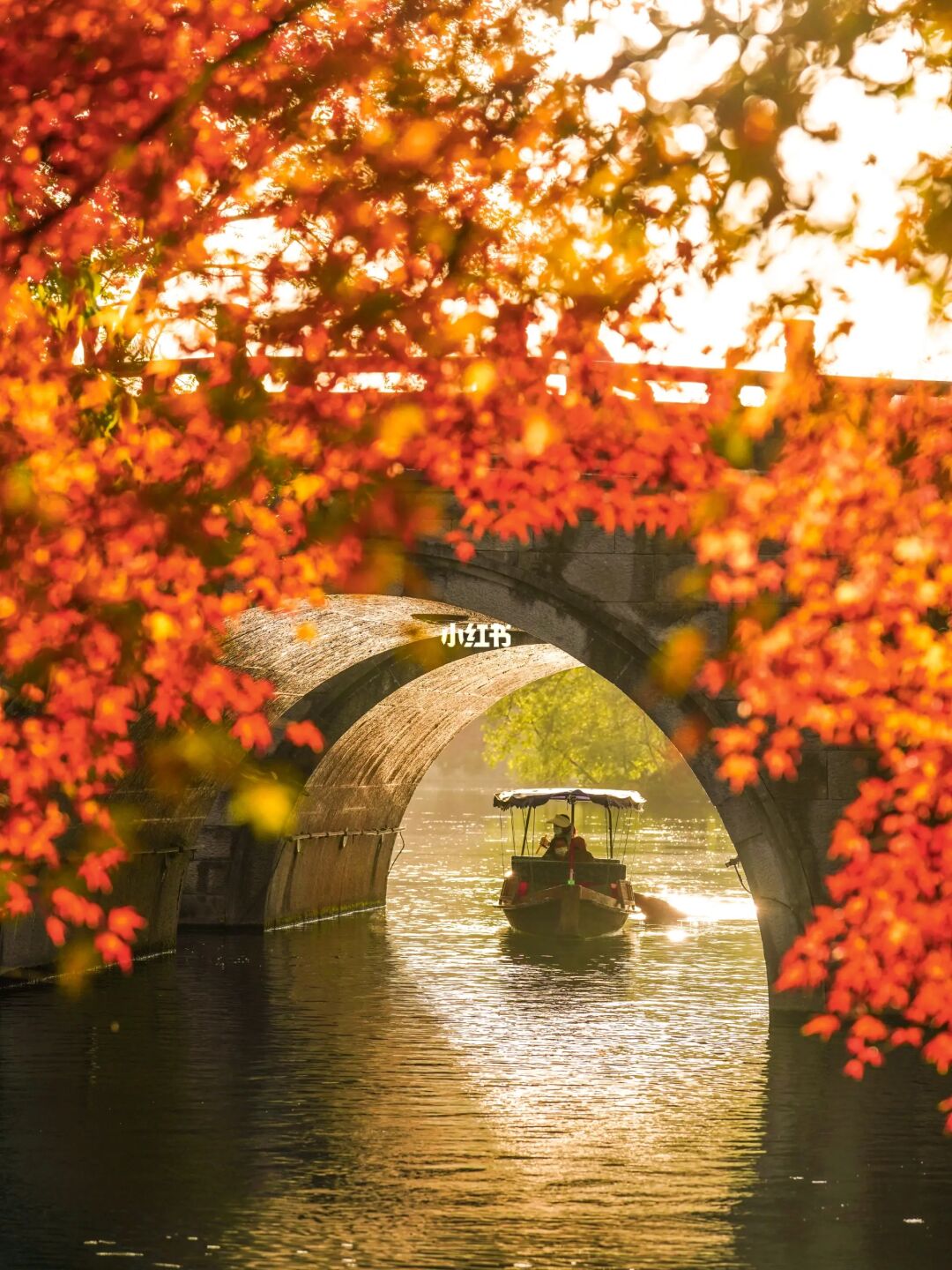 接下来几个月的杭州，堪称秋天日旅游天花板