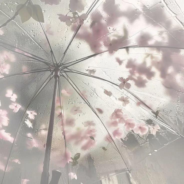 低饱和的雾雨季 审美积累 