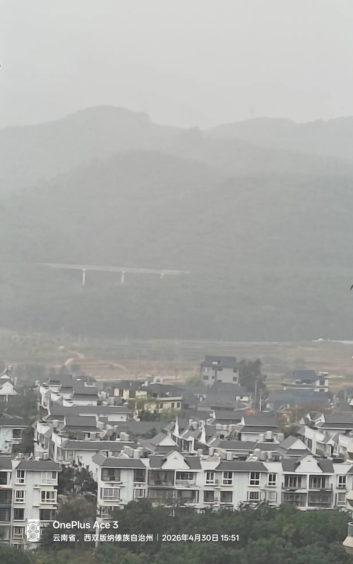 昨夜九点，西双版纳的天幕仿佛被一只无形巨手骤然撕开。暴雨不是落下来的，而是被狂风