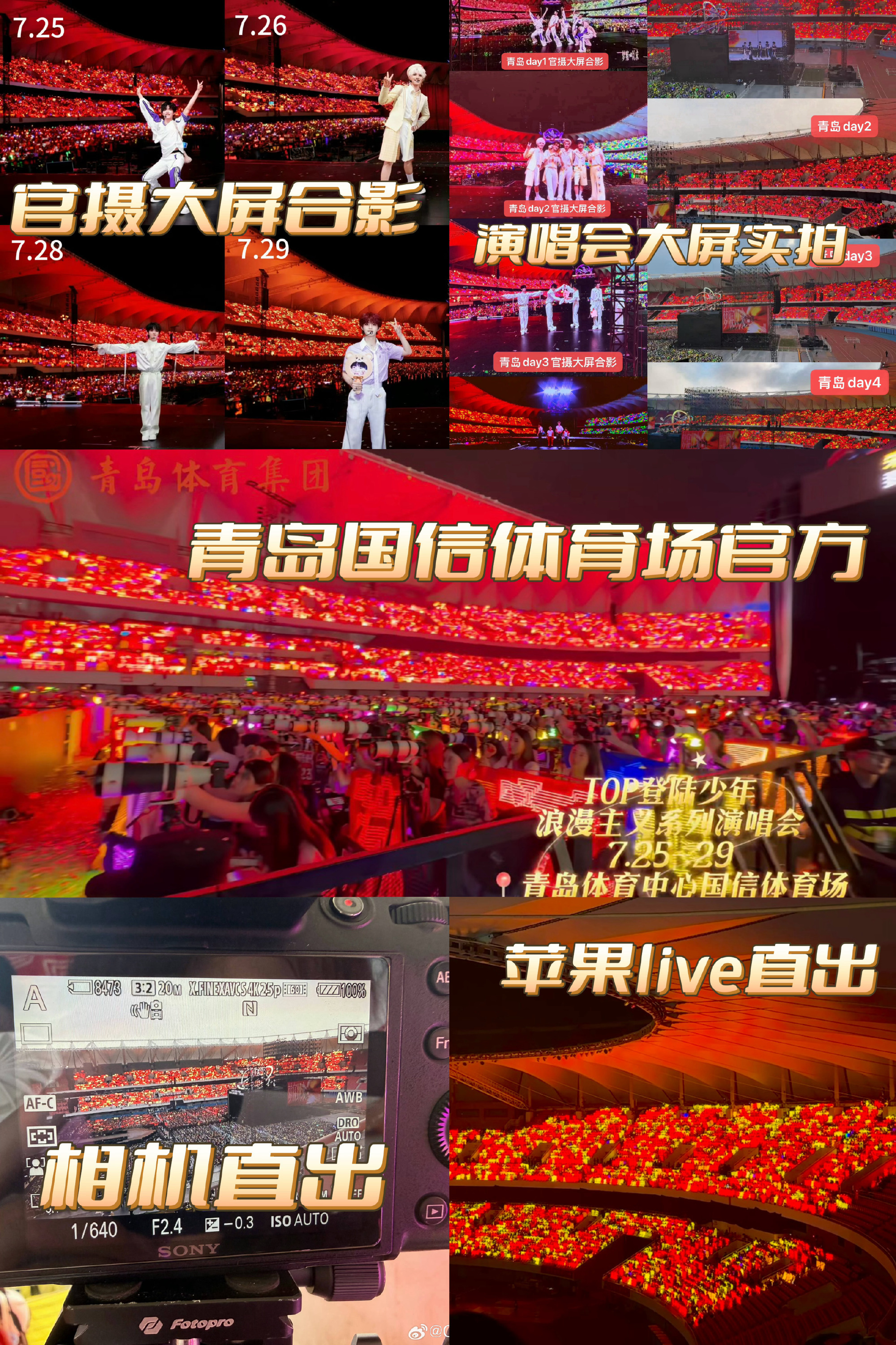 苏新皓高会粉丝破8万恭喜C位队长高会粉丝突破8w大TOP实至名归 苏新皓值得