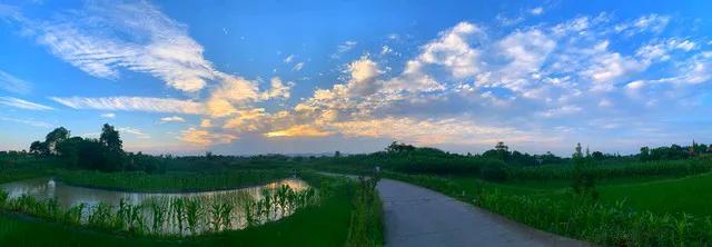 《靓妹回乡》
靓妹今年归乡早，
时间充足对象找。
城中难嫁剩女多，
家乡富帅美男