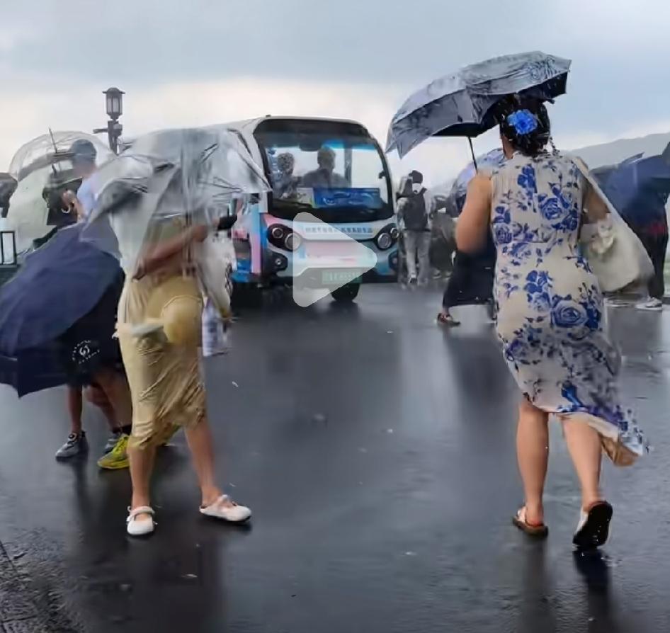 为什么明明知道台风天风大雨大，还要去逛西湖，这下好了，都成落汤鸡了。

还有带小