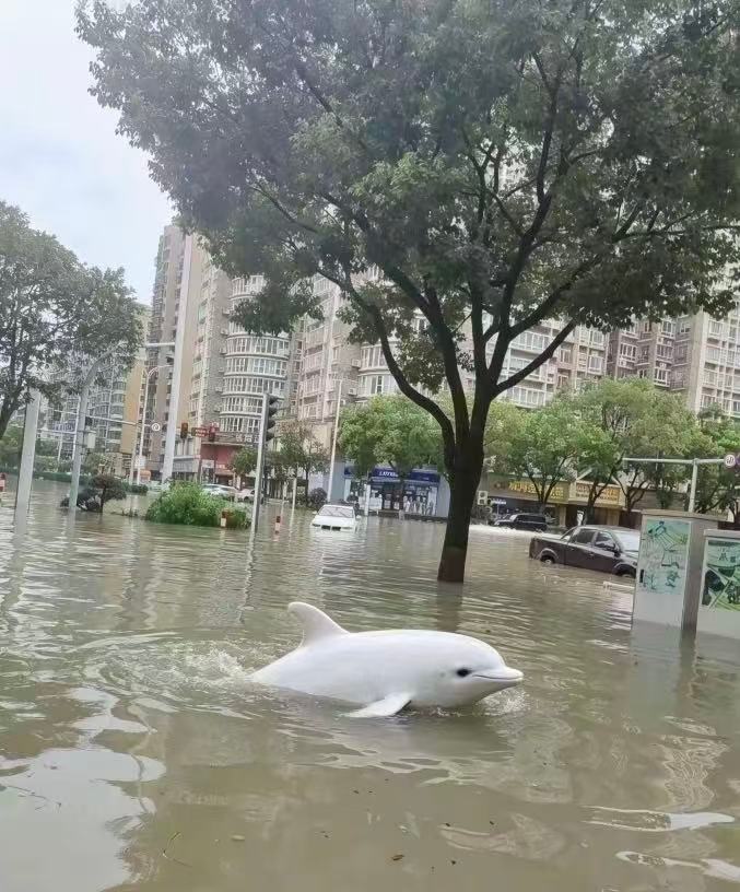 白海豚带着大范围风雨北上为啥会有台风？河南已经在扛着了，河北瑟瑟发抖…降水预计还