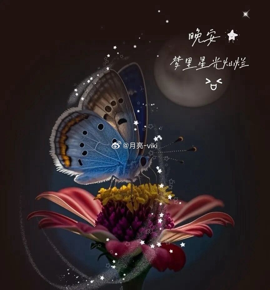 慢慢自愈，慢慢优秀，温柔奔赴属于自己的美好。晚安～～💛🌞岑先生