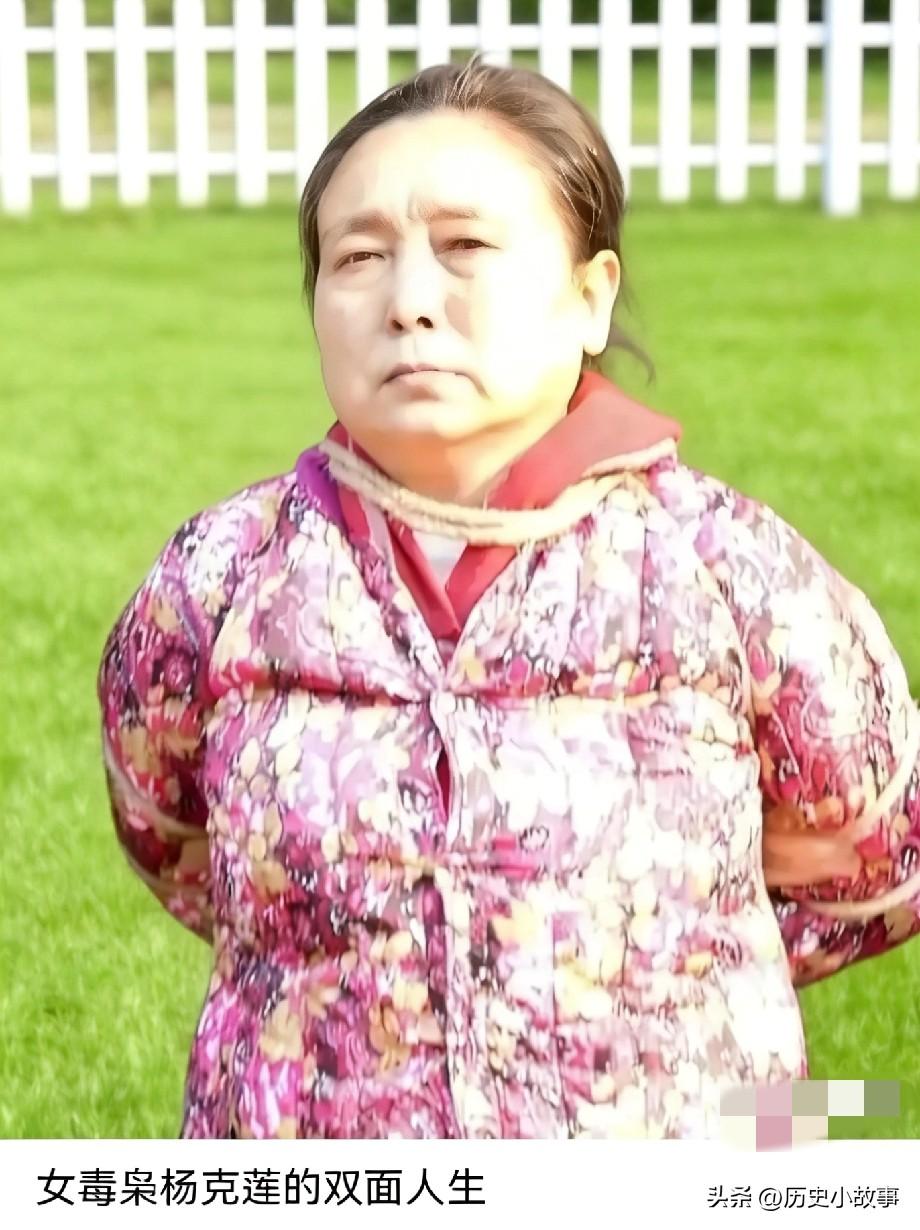 2018年，湖南湘潭的杨克莲被确认身份后，步向了刑场。在她被执行死刑前，这成了她