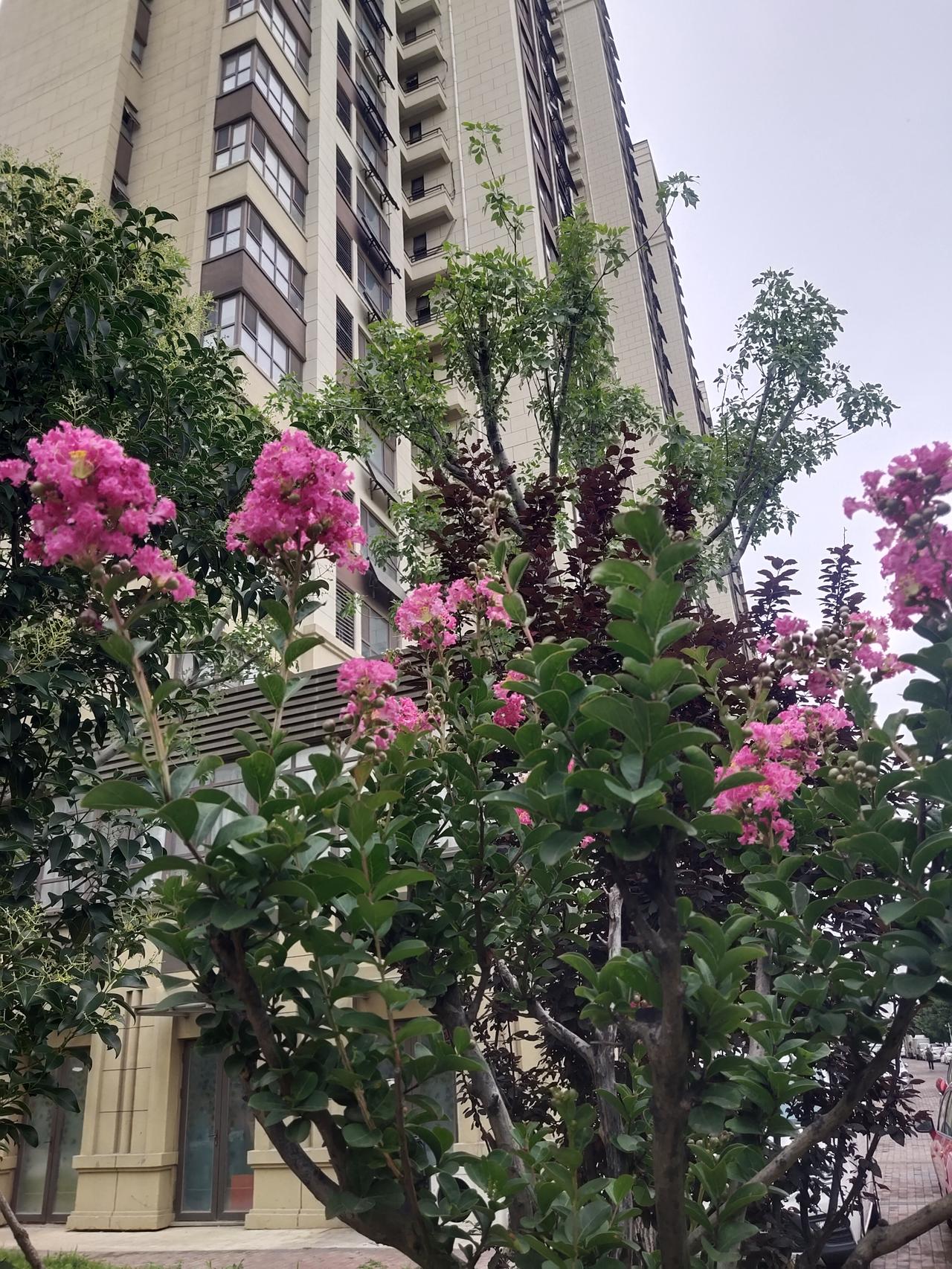 我认为喜欢