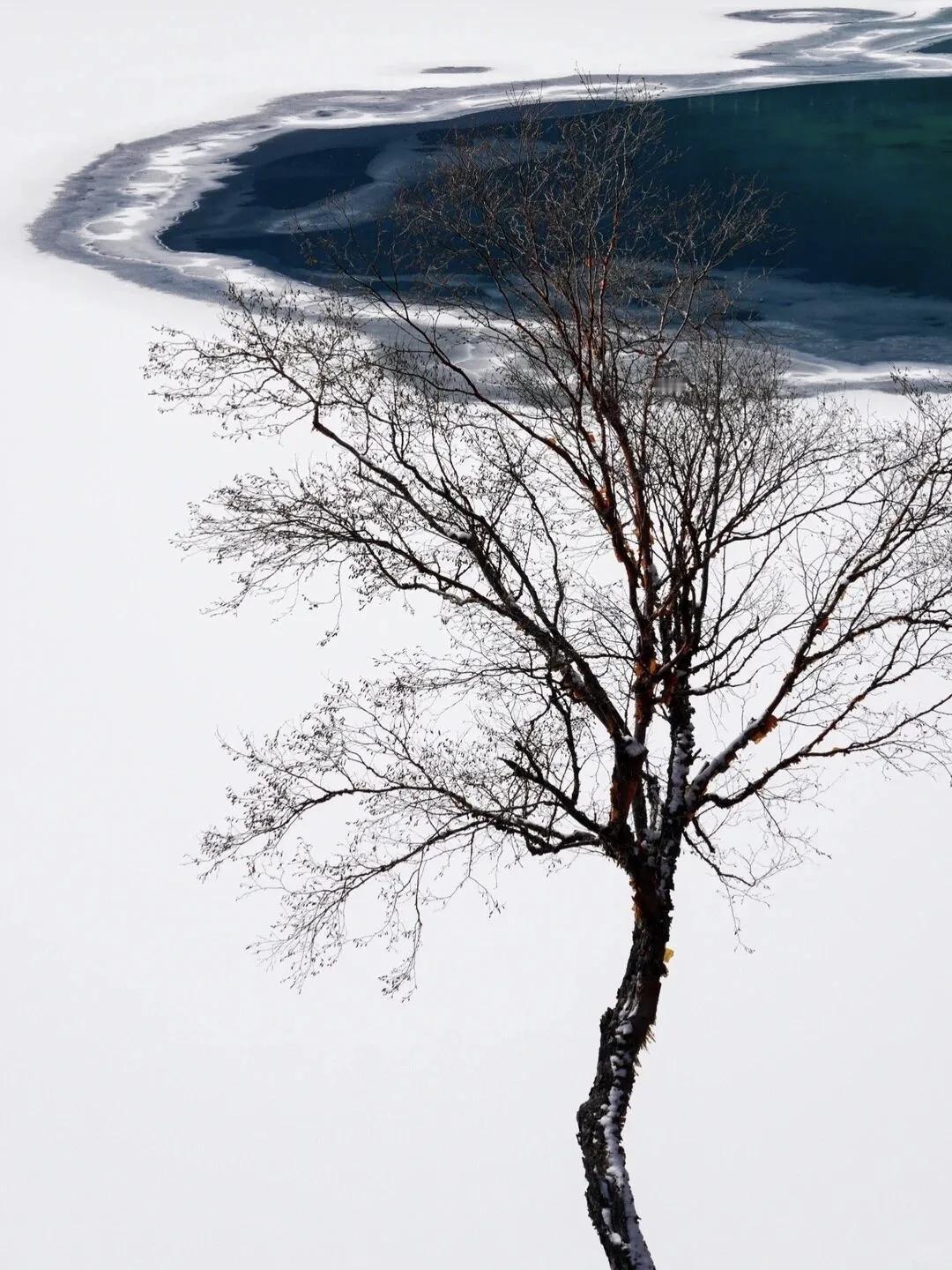 【人生就是西游记，得过关斩将降妖捉怪，到处都是坎，又没有过不去的火焰山，不都得自