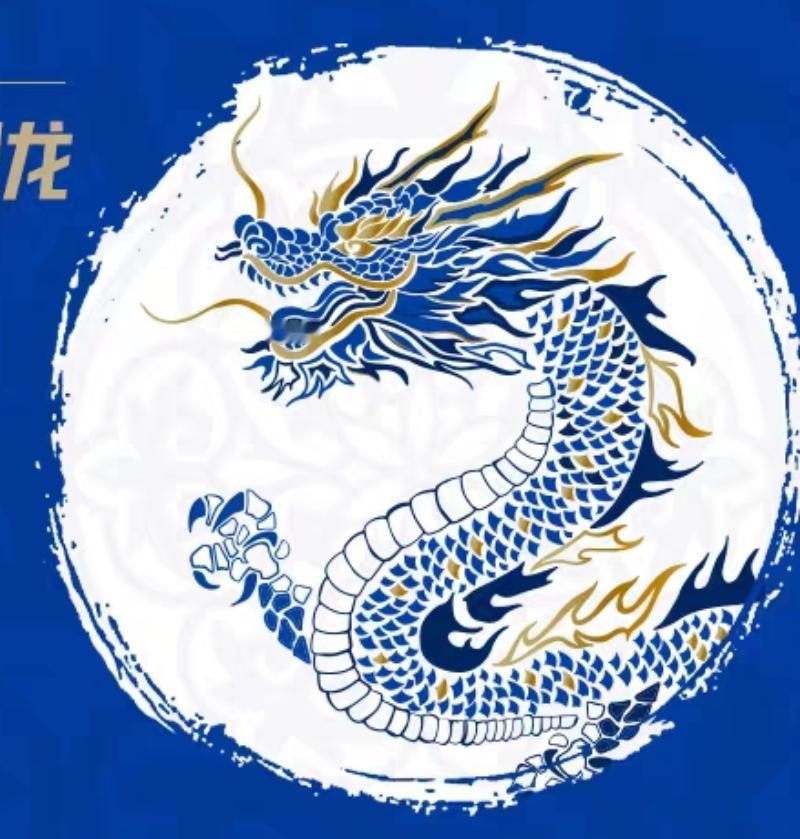 谷爱凌2026米兰冬奥会战袍的细节图全部出炉！

深爱中国文化的爱凌，也会积极的