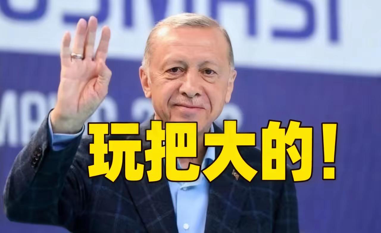 美国盟友集体跑路？
土耳其放着北约不待，非要加入有核武的巴沙联盟，美以印坐不住了