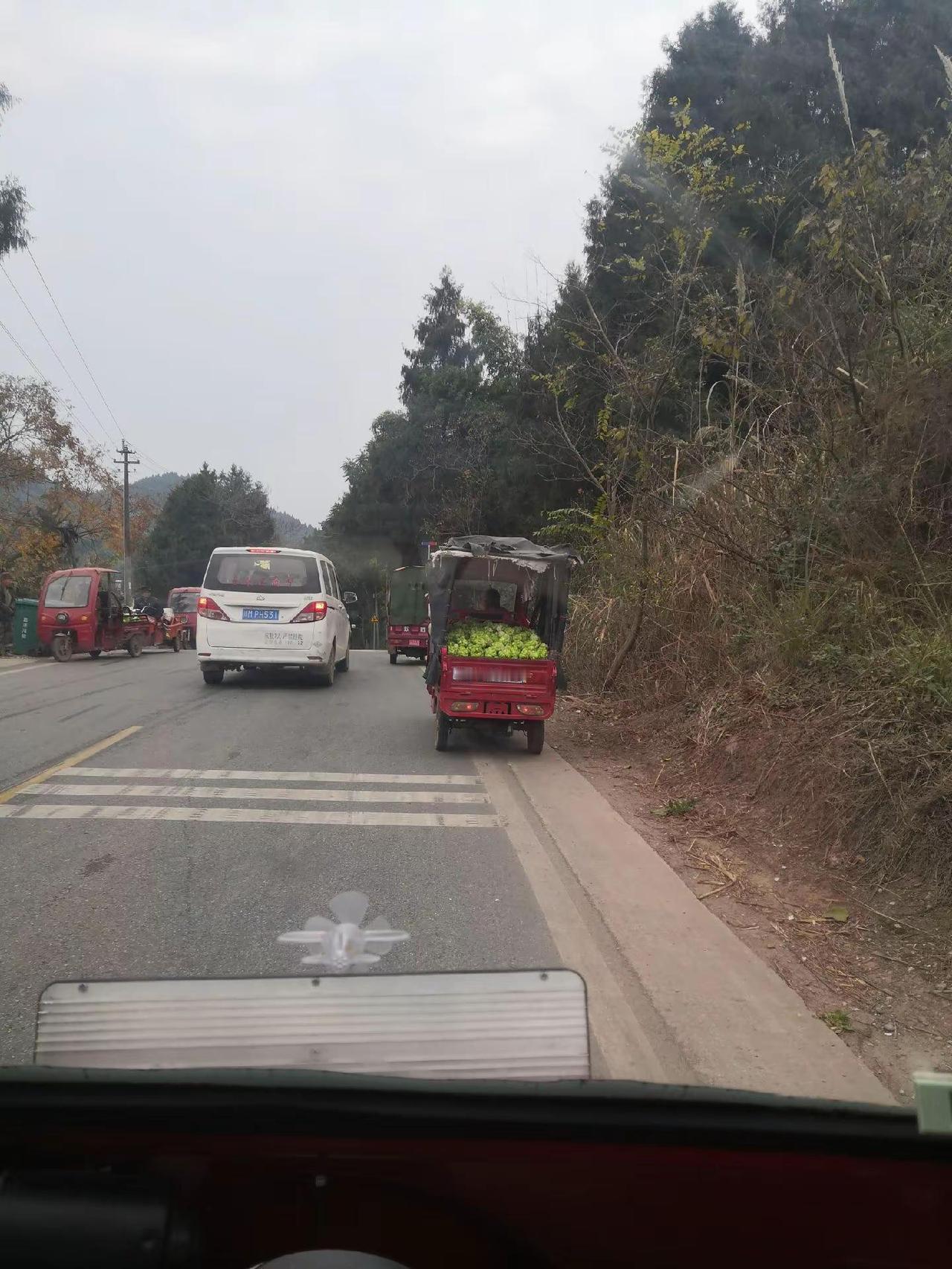文明行车 文明驾驶文明出行 安全文明出行 安全文明驾驶 货车司机的日常