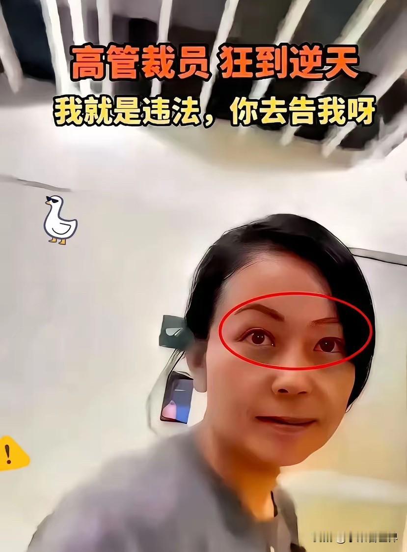 互联网是有记忆的！
当年以一句“我就是违法，你去告我呀”而火遍网络的北京某公司H