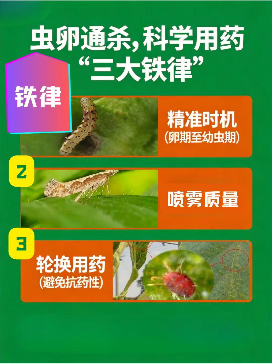 虫卵通杀，科学用药“三大铁律”。杀虫