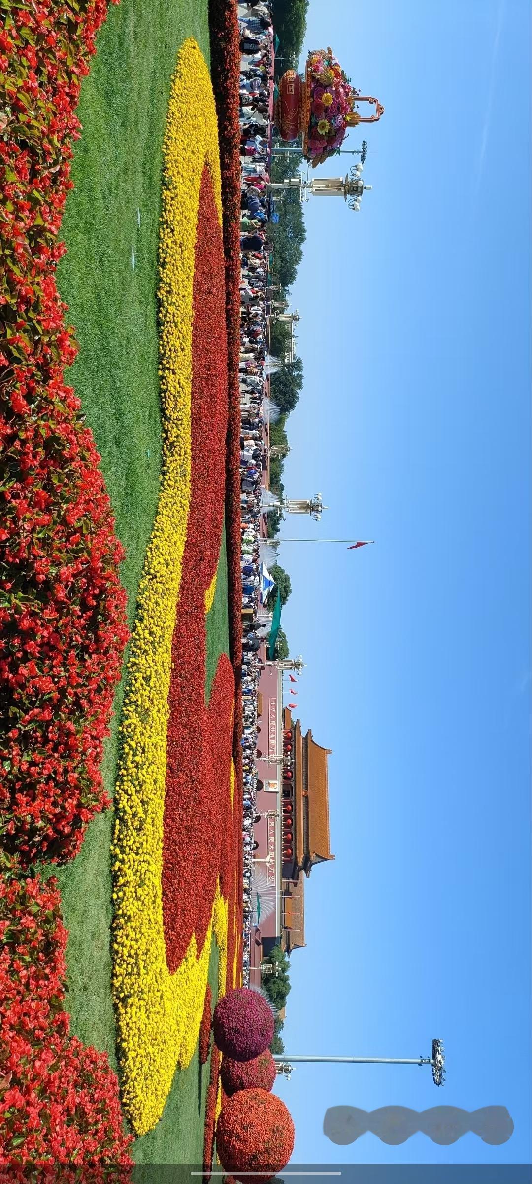 绚烂花海，人潮涌动，尽享视觉盛宴！