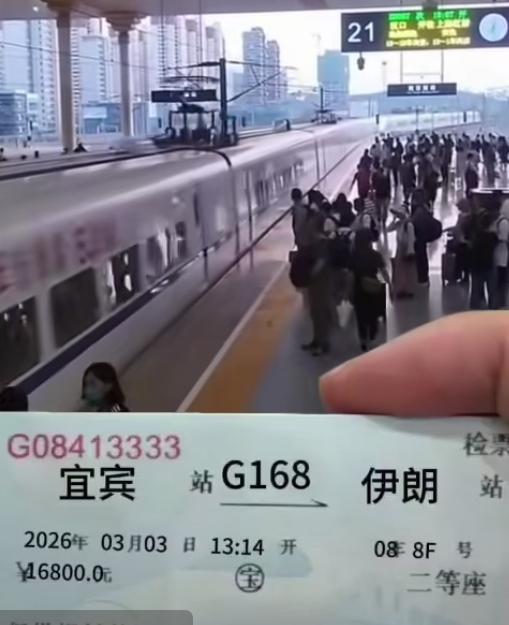 送给天下所有打工人一段话：
我乃家中长子，生于农耕之家，长于山野田村， 没有达官