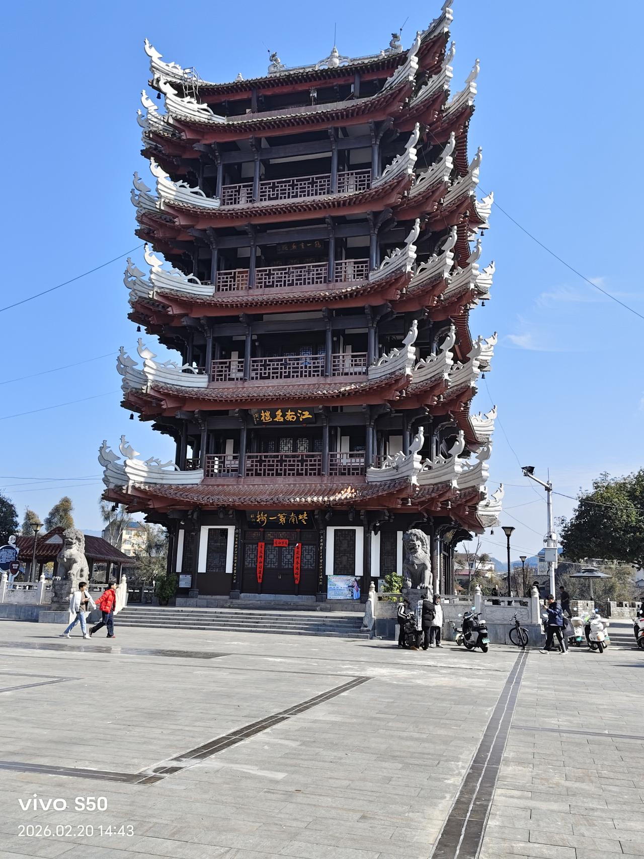 春日生活打卡季愿今年好运多多、福气多多、母亲身体健康长寿！