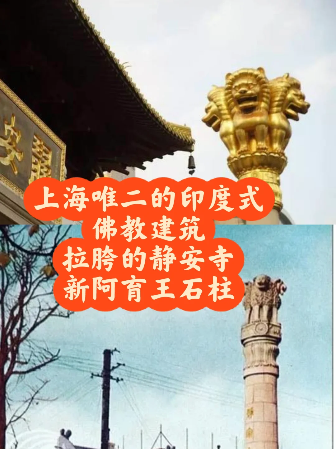 静安寺的阿育王石柱真不能和老版本的比！