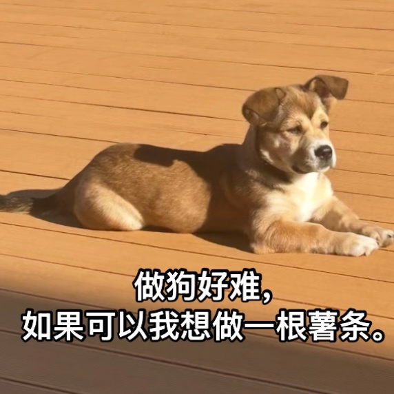 要做麦当劳薯条 