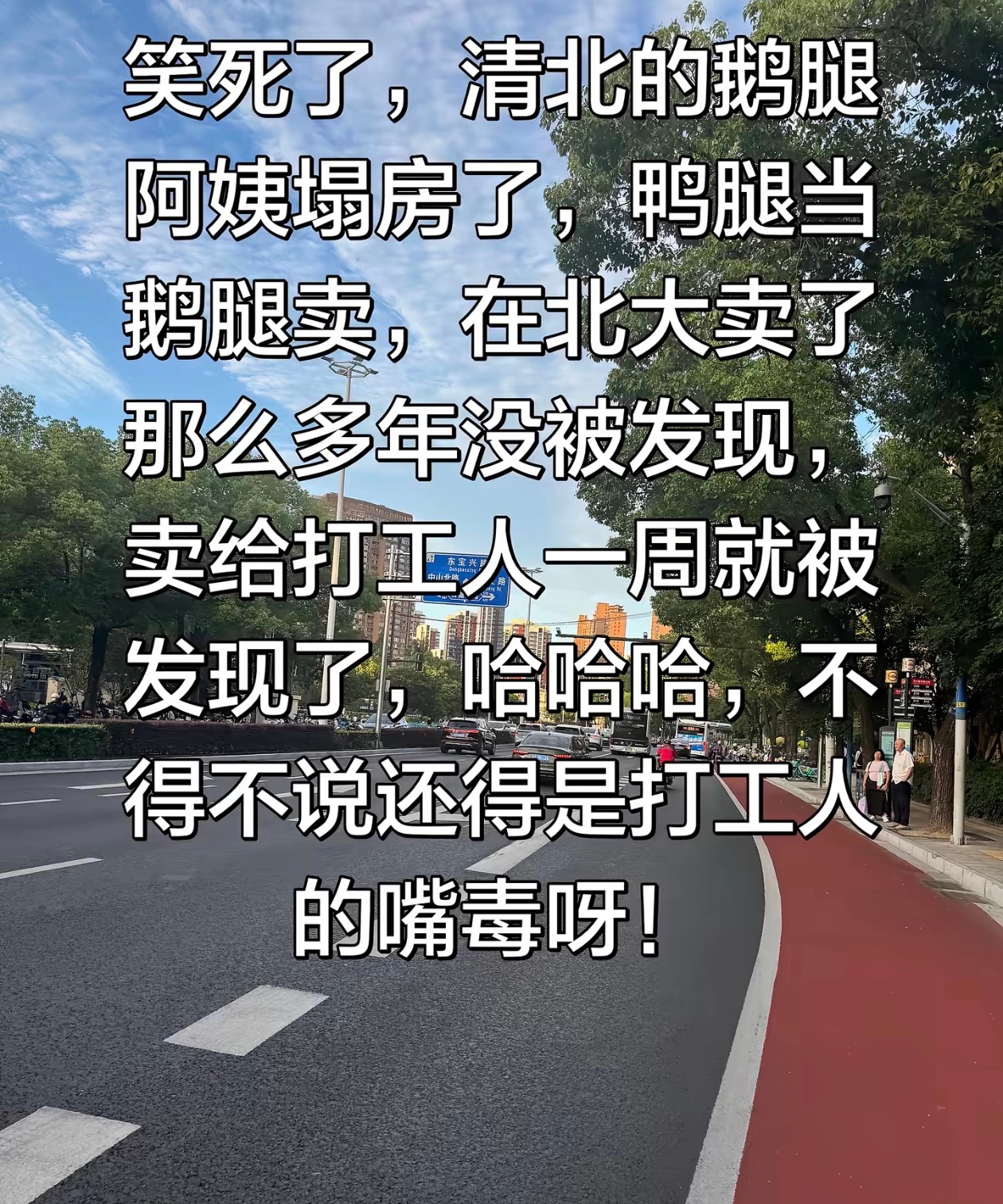 鹅腿阿姨 塌房所以说别相信学生党的推荐，他们除了食堂就是校门口的小吃街！还是我们
