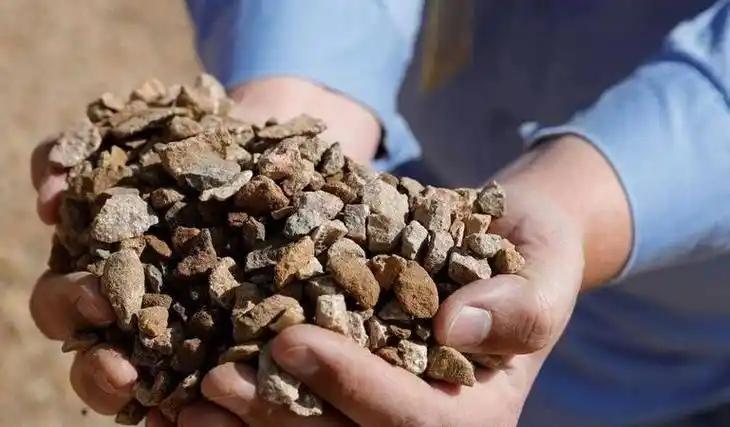 这事儿真让人看笑话了。日本急得像热锅上的蚂蚁，花大价钱买了个“心理安慰”。莱纳斯