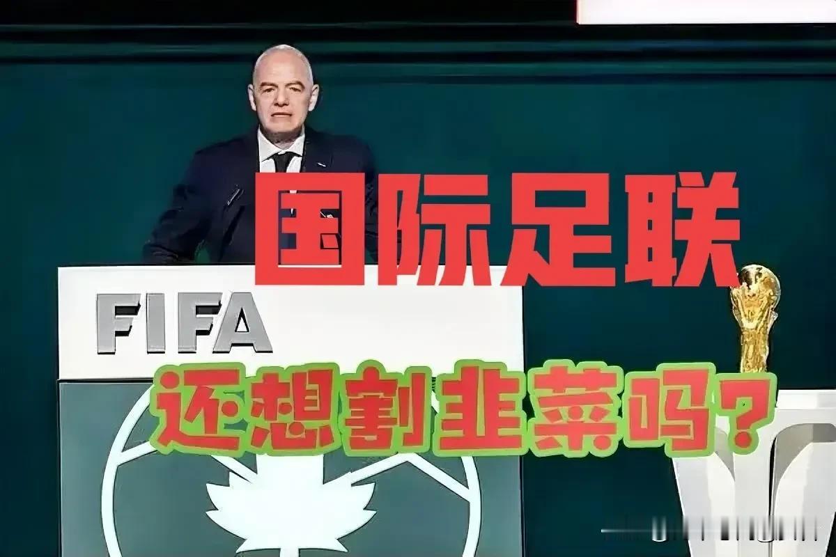 国际足联彻底翻脸！中文被从官网踢出，连立陶宛语都有席位，14亿人用中文竟被公然歧