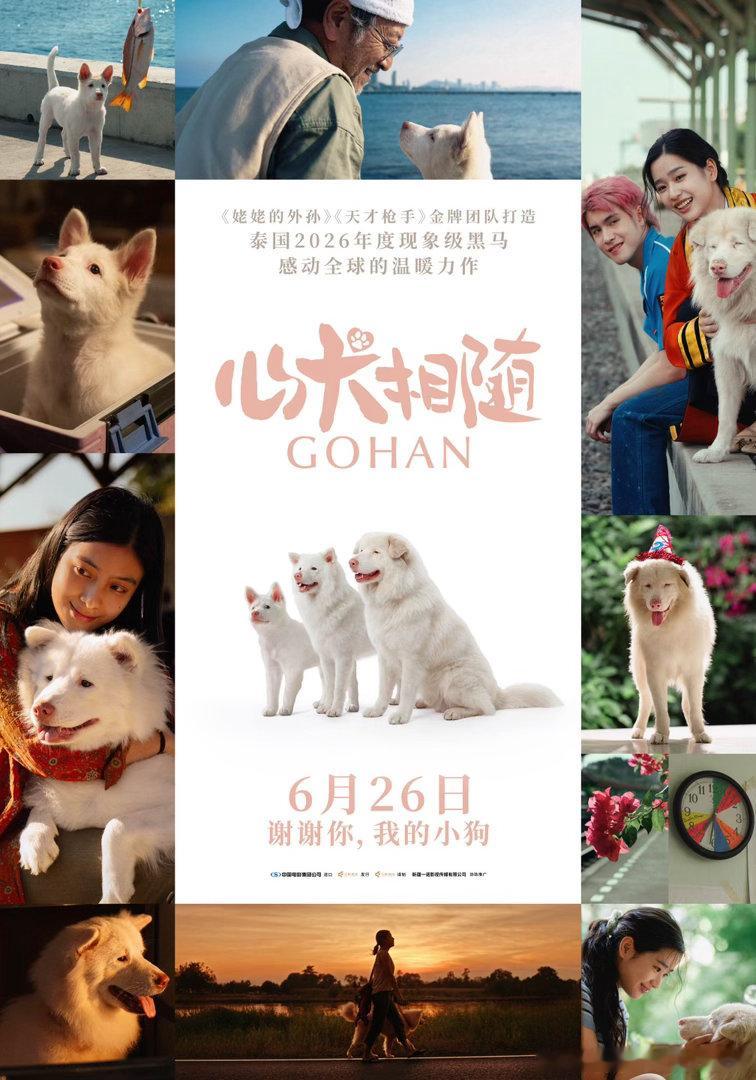 姥姥的外孙团队新作心犬相随定档《姥姥的外孙》《天才枪手》金牌团队打造、泰国202