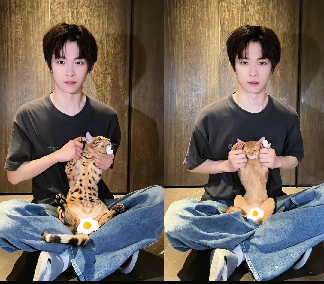 梓渝携小猫抽象一下梓渝携大鱼小十一抽象一下 梓渝的抽象还带上了大鱼小十一哈哈哈 