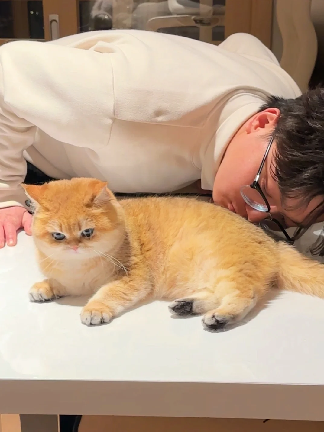 🐱：如果我这时候放个屁的话……