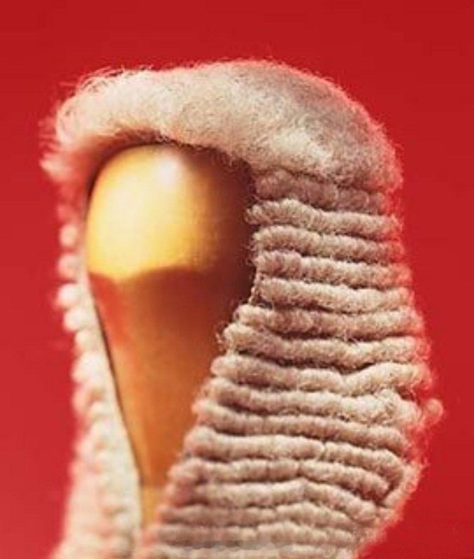 其实美国跟西欧在加强对我们法学领域的渗透。内地那些不遗余力推动所谓新条文的人就是