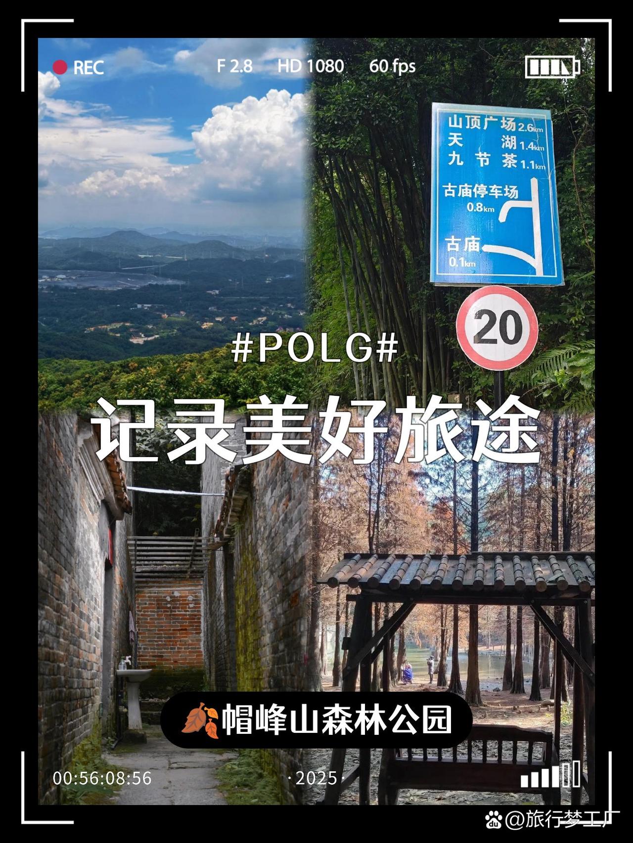 帽峰山森林公园保姆级路线攻略

🌿被问爆的周末遛娃+吸氧路线来啦！实测帽峰山森