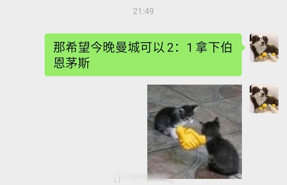 跳预言家了！家人们凰图有了 
