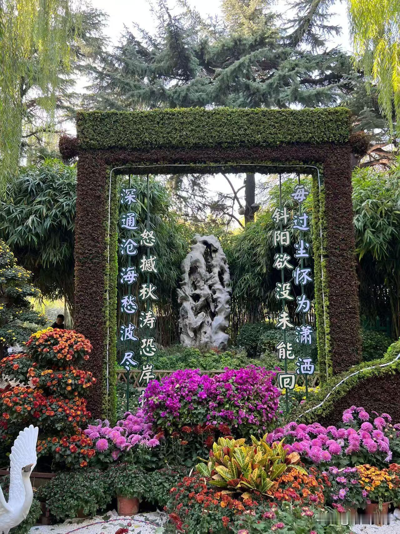 趵突泉这波金秋菊展，直接把秋日氛围感拉满了！
 
你看这花架门，绿植裹得严严实实