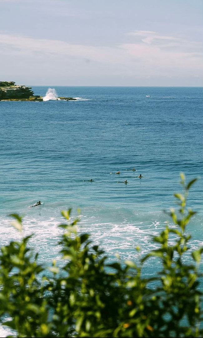 🌊夏日与海 