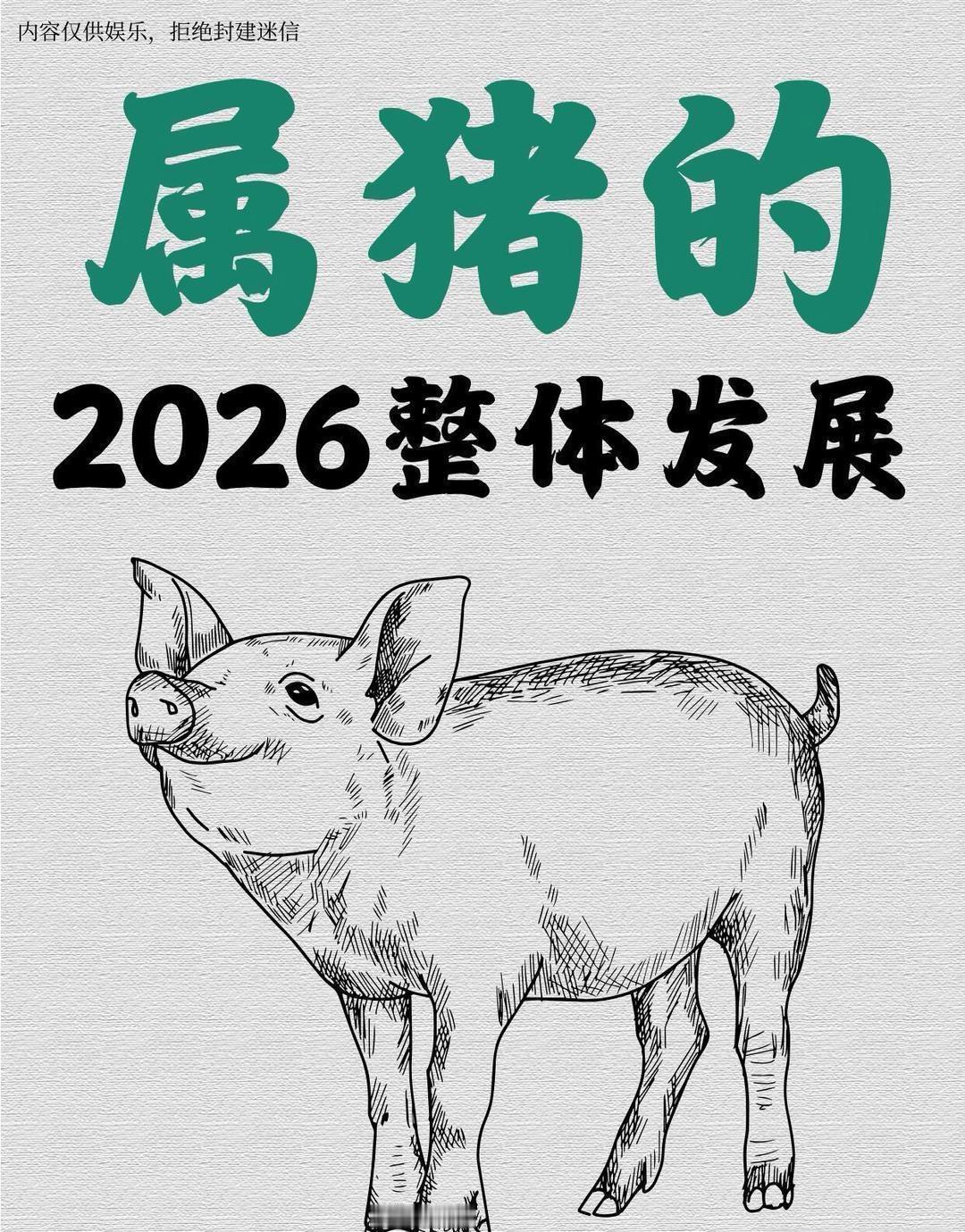 2026年农历丙午马年，属猪人地支“亥水”与太岁“午火”形成“暗合”吉局，再加上