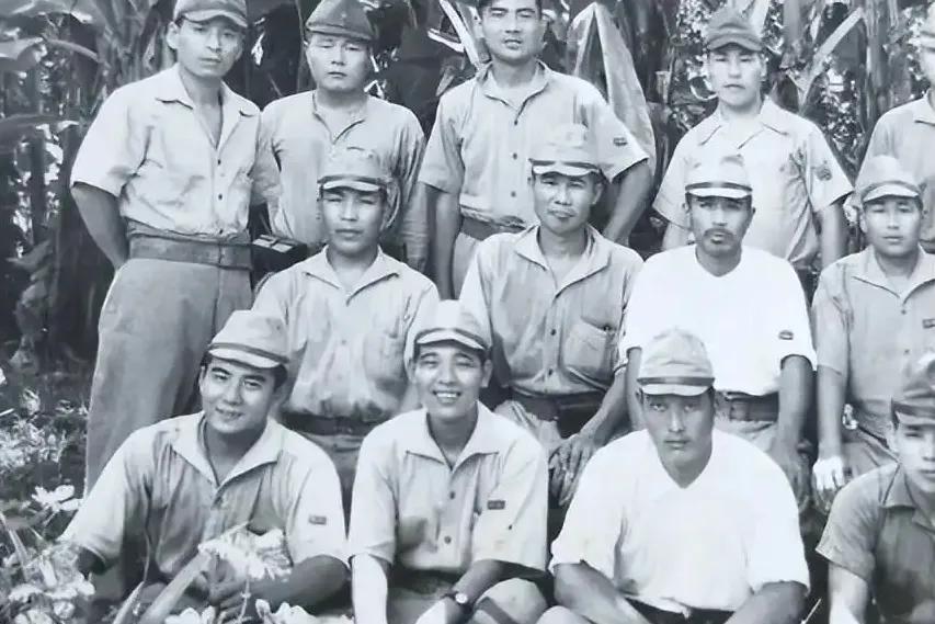 据岛内知名媒体人蔡正元博士透露，岛内有大量“台籍日本兵后裔”和“日裔台湾人”，总