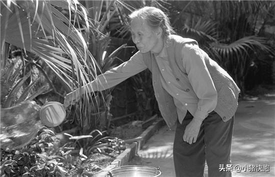 谢小梅（1913—2006），福建龙岩人，中央红军32名长征女红军之一。17岁入