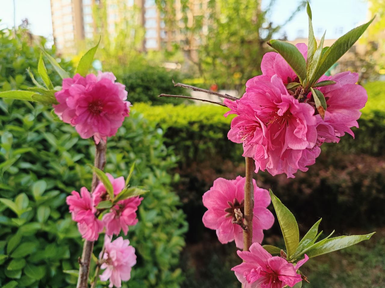 人这一生慢慢走过才懂得，最珍贵的从不是浮华外物。家人平安顺遂，阖家团圆，朝夕相伴